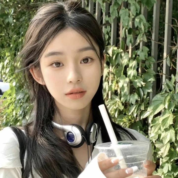 小叮当:羽翼之谜