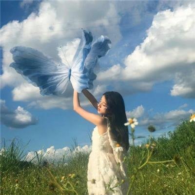 寻找爱丽丝