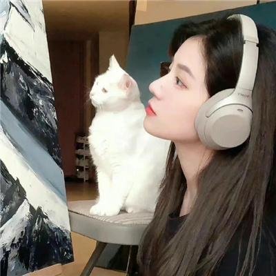 雪中灰